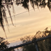 b_soule